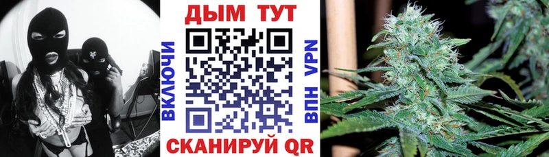  COCAIN Бобров