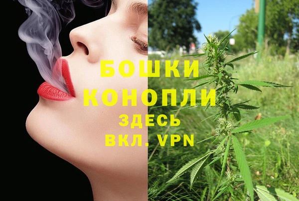 стафф Покачи