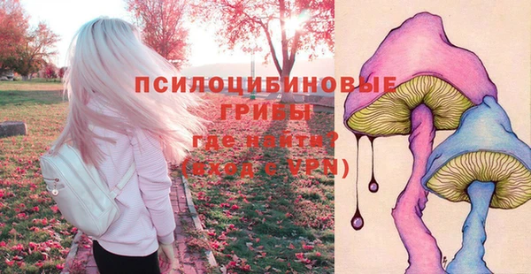 экстази Абинск