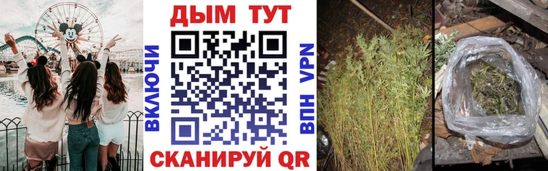 Бошки марихуана OG Kush  Бобров 